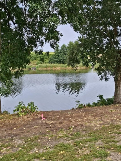 Na sprzedaż działka budowlana - Owieczki -
wielkopolskie Zdjęcie nr 2