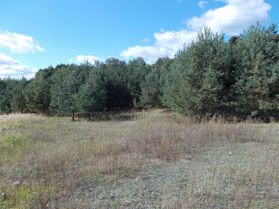 Na sprzedaż działka budowlana - Karczewko -
wielkopolskie Zdjęcie nr 3