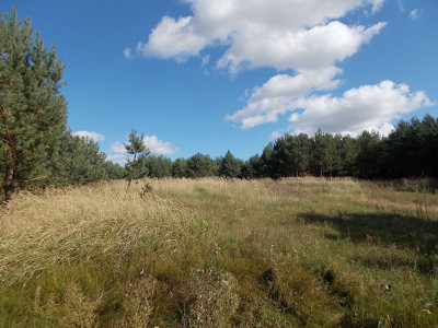 Na sprzedaż działka budowlana - Karczewko -
wielkopolskie Zdjęcie nr 5