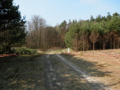 Na sprzedaż działka budowlana - Karczewko -
wielkopolskie Zdjęcie nr 8