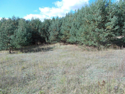 Na sprzedaż działka budowlana - Karczewo - wielkopolskie