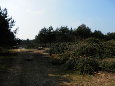 Na sprzedaż działka budowlana - Karczewo -
wielkopolskie Zdjęcie nr 7