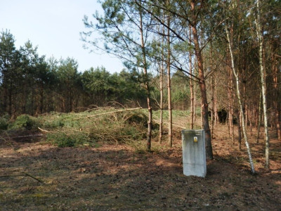 Na sprzedaż działka budowlana - Karczewo -
wielkopolskie Zdjęcie nr 9