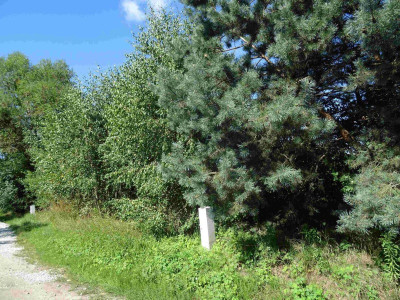 Na sprzedaż działka budowlana - Dąbrowa - wielkopolskie