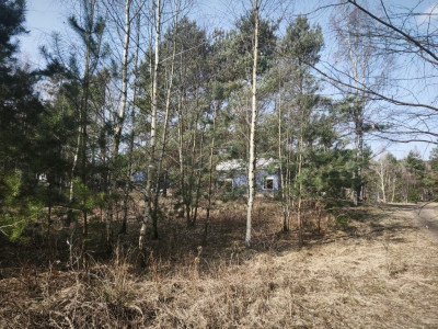 Na sprzedaż działka budowlana - Karczewko -
wielkopolskie Zdjęcie nr 8