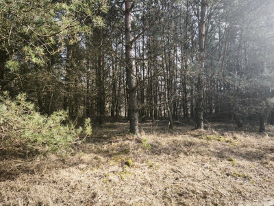 Na sprzedaż działka budowlana - Karczewo -
wielkopolskie Zdjęcie nr 10