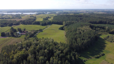 Na sprzedaż działka budowlana - Dobra Wola -
warmińsko-mazurskie Zdjęcie nr 2