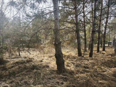 Na sprzedaż działka budowlana - Karczewo -
wielkopolskie Zdjęcie nr 9