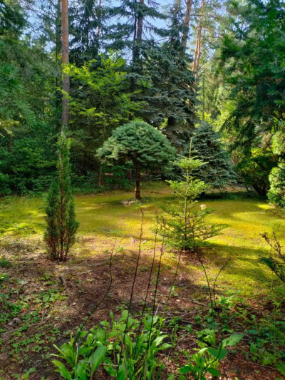 Na sprzedaż działka budowlana - Kamińsko -
wielkopolskie Zdjęcie nr 5
