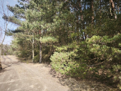 Na sprzedaż działka budowlana - Karczewo - wielkopolskie