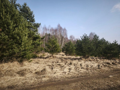 Na sprzedaż działka budowlana - Karczewo -
wielkopolskie Zdjęcie nr 4