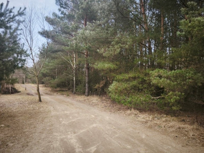 Na sprzedaż działka budowlana - Karczewko -
wielkopolskie Zdjęcie nr 6