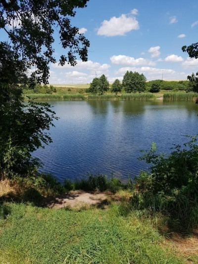 Na sprzedaż działka budowlana - Owieczki - wielkopolskie