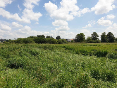 Karolówka wschodnia, część południowa– Zamość -
lubelskie Zdjęcie nr 4