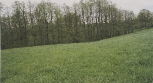 Działka 4530 m2 -
śląskie Zdjęcie nr 1