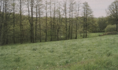 Działka 4530 m2 -
śląskie Zdjęcie nr 2