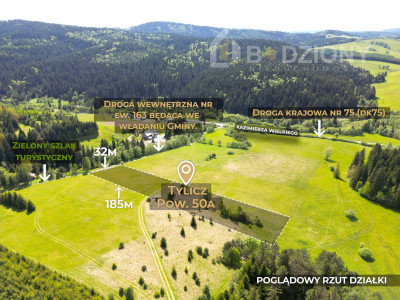 Działka przy szlaku w Tyliczu - idealna pod dom lub domki letniskowe  Wydana WZ -  Tylicz  - małopolskie