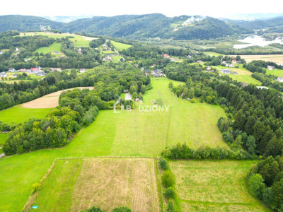 Działka z potencjałem w zielonym zakątku - Witowice Dolne - Witowice Dolne  -
małopolskie Zdjęcie nr 10