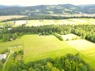 Działka z potencjałem w zielonym zakątku - Witowice Dolne - Witowice Dolne  -
małopolskie Zdjęcie nr 17