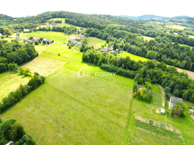 Działka z potencjałem w zielonym zakątku - Witowice Dolne - Witowice Dolne  -
małopolskie Zdjęcie nr 5
