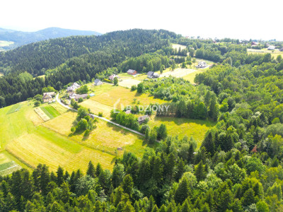 Atrakcyjna działka w Mystkowie - gotowa pod budowę - Mystków  -
małopolskie Zdjęcie nr 9