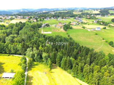 Atrakcyjna działka w Mystkowie - gotowa pod budowę - Mystków  -
małopolskie Zdjęcie nr 4