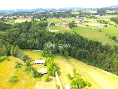 Tu zbudujesz swój dom Urokliwa działka w Mystkowie gm Kamionka Wielka - Mystków  -
małopolskie Zdjęcie nr 2
