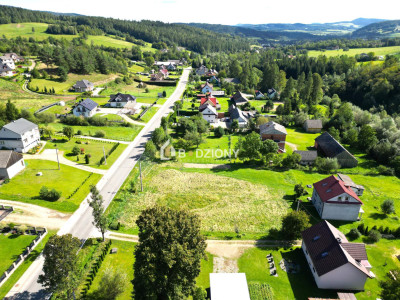 17-arowa działka w Binczarowej - idealna pod dom - Binczarowa  -
małopolskie Zdjęcie nr 7