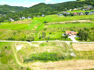 Paszyn - działka z przyszłością - Paszyn  -
małopolskie Zdjęcie nr 5