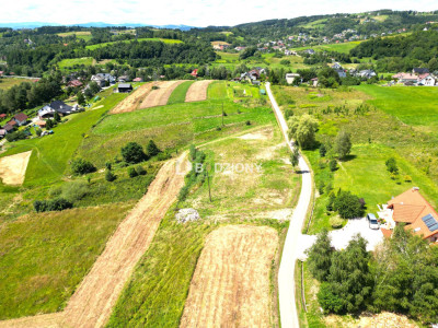 Paszyn - działka z przyszłością - Paszyn  -
małopolskie Zdjęcie nr 7