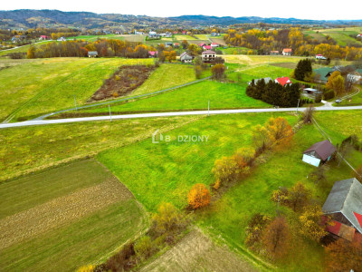OKAZJA Urokliwa działka w miejscowości Kołkówka gm Rzepiennik Strzyżewski - Kołkówka  -
małopolskie Zdjęcie nr 9