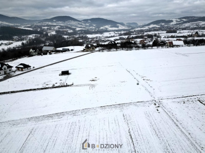 Atrakcyjna działka budowlana Owieczka 1187a - 30x38m - prąd studnia na działce - Owieczka  -
małopolskie Zdjęcie nr 7