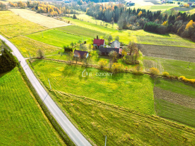 OKAZJA Urokliwa działka w miejscowości Kołkówka gm Rzepiennik Strzyżewski - Kołkówka  -
małopolskie Zdjęcie nr 11