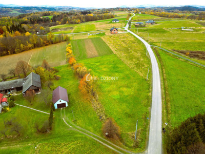 OKAZJA Urokliwa działka w miejscowości Kołkówka gm Rzepiennik Strzyżewski - Kołkówka  -
małopolskie Zdjęcie nr 3