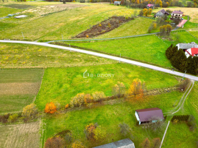 OKAZJA Urokliwa działka w miejscowości Kołkówka gm Rzepiennik Strzyżewski - Kołkówka  -
małopolskie Zdjęcie nr 6