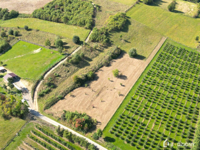 Działka rolna z możliwością przekształcenia w budowlaną - miejscowość Zagorzyn - Zagorzyn  -
małopolskie Zdjęcie nr 12