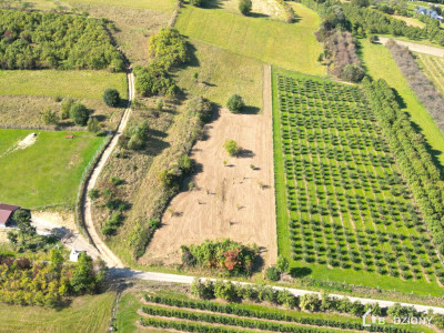 Działka rolna z możliwością przekształcenia w budowlaną - miejscowość Zagorzyn - Zagorzyn  -
małopolskie Zdjęcie nr 13