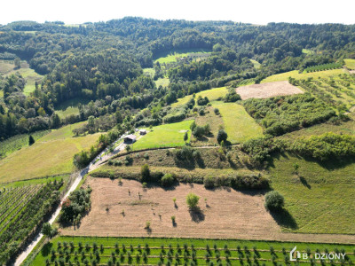 Działka rolna z możliwością przekształcenia w budowlaną - miejscowość Zagorzyn - Zagorzyn  -
małopolskie Zdjęcie nr 2