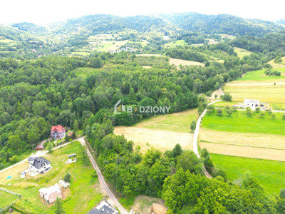 Atrakcyjna działka o dużej powierzchni - inwestuj w przyszłość  Kamienica - Kamienica  -
małopolskie Zdjęcie nr 10