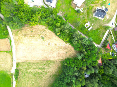 Atrakcyjna działka o dużej powierzchni - inwestuj w przyszłość  Kamienica - Kamienica  -
małopolskie Zdjęcie nr 14