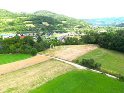 Atrakcyjna działka o dużej powierzchni - inwestuj w przyszłość  Kamienica - Kamienica  -
małopolskie Zdjęcie nr 2