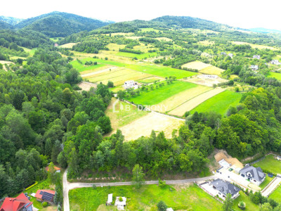 Atrakcyjna działka o dużej powierzchni - inwestuj w przyszłość  Kamienica - Kamienica  -
małopolskie Zdjęcie nr 8