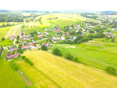 Malownicza działka w Mochnaczce Wyżnej - cisza widoki i potencjał - Mochnaczka Wyżna  -
małopolskie Zdjęcie nr 9