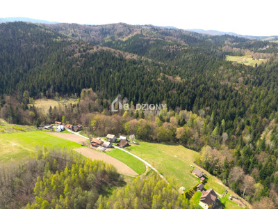 Działka z potencjałem w spokojnej okolicy  - Barcice Górne ul Kliny - nowosądecki  -
małopolskie Zdjęcie nr 3