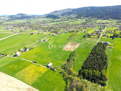 Teren inwestycyjny z dużym potencjałem - Ptaszkowa gm Grybów - Ptaszkowa  -
małopolskie Zdjęcie nr 11