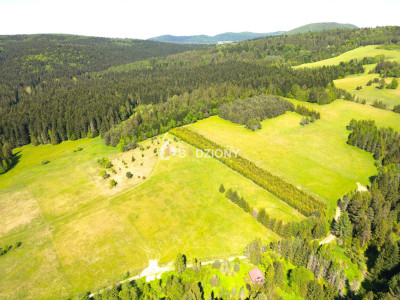 Działka przy szlaku w Tyliczu - idealna pod dom lub domki letniskowe  Wydana WZ - Tylicz  -
małopolskie Zdjęcie nr 9