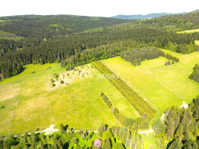 Działka przy szlaku w Tyliczu - idealna pod dom lub domki letniskowe  Wydana WZ - Tylicz  -
małopolskie Zdjęcie nr 10