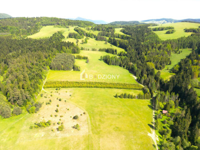 Działka przy szlaku w Tyliczu - idealna pod dom lub domki letniskowe  Wydana WZ - Tylicz  -
małopolskie Zdjęcie nr 7