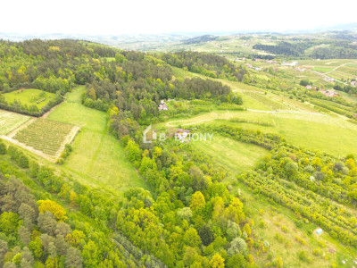 Działka rolna w miejscowości Łącko o łącznej powierzchni 76 arów - Łącko  -
małopolskie Zdjęcie nr 11