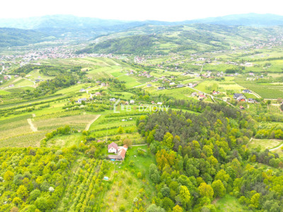 Działka rolna w miejscowości Łącko o łącznej powierzchni 76 arów - Łącko  -
małopolskie Zdjęcie nr 14
